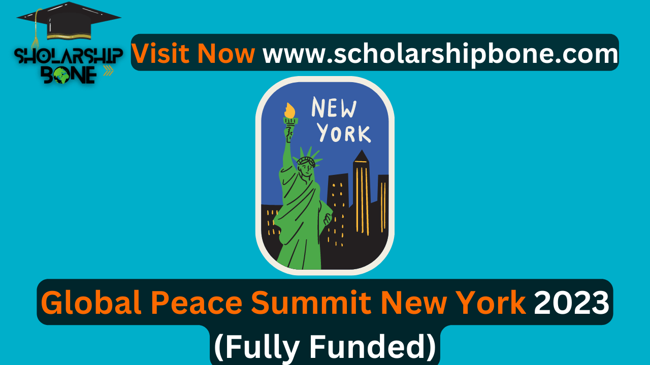 Global Peace Summit New York 2023 (Fully Funded)