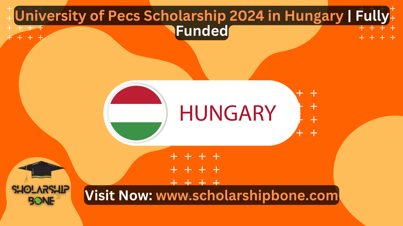 University of Pecs Scholarship 2024 in Hungary | Fully Funded