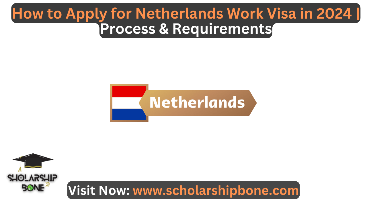 How to Apply for Netherlands Work Visa in 2024 | Process & Requirements