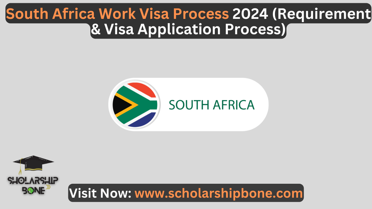 South Africa Work Visa Process 2024 (Requirement & Visa Application Process)