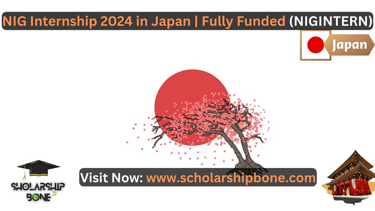 NIG Internship 2024 in Japan | Fully Funded (NIGINTERN)